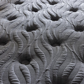 Carbon Plus