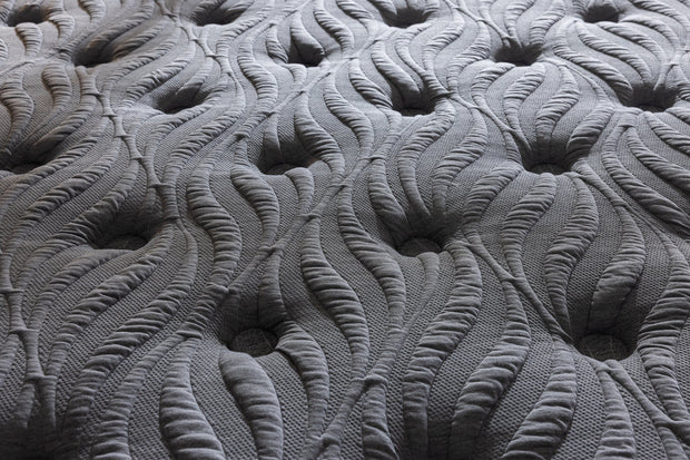 Carbon Plus