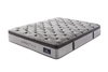 Carbon Plus
