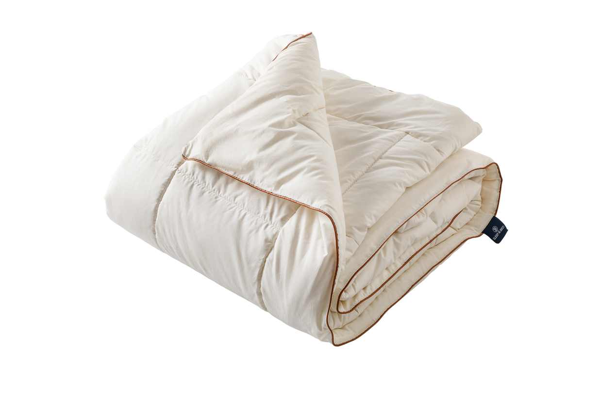 Jorgan Leshi